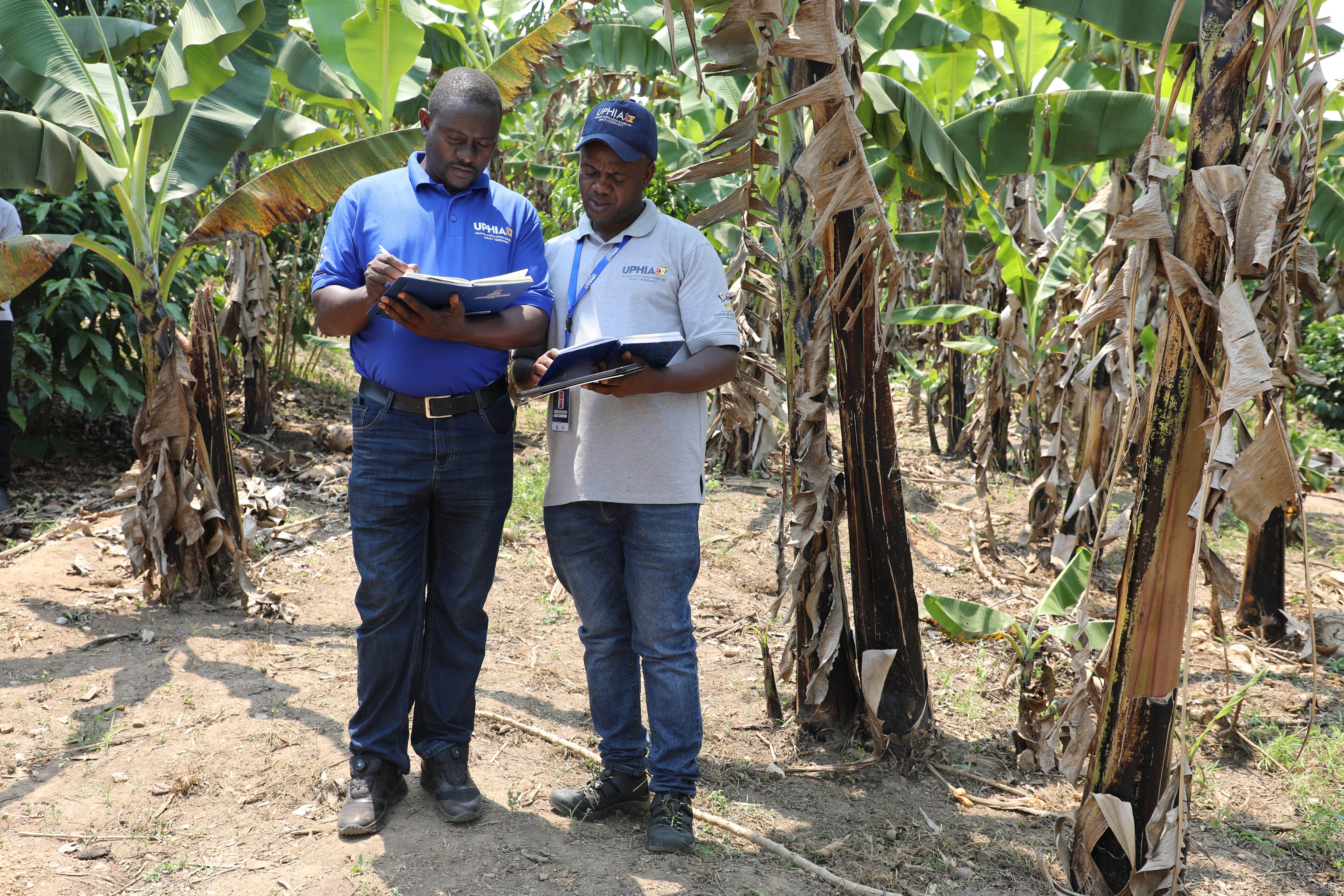 UPHIA researchers banana plantation visit